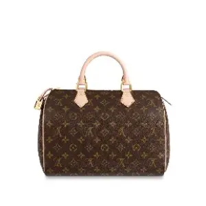 ルイヴィトン(Louis Vuitton)買取